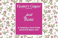 Hassett Green London - Just Rose - Fragrance Oil Reed Diffuser Refill - Larger Size 250ml Bottle