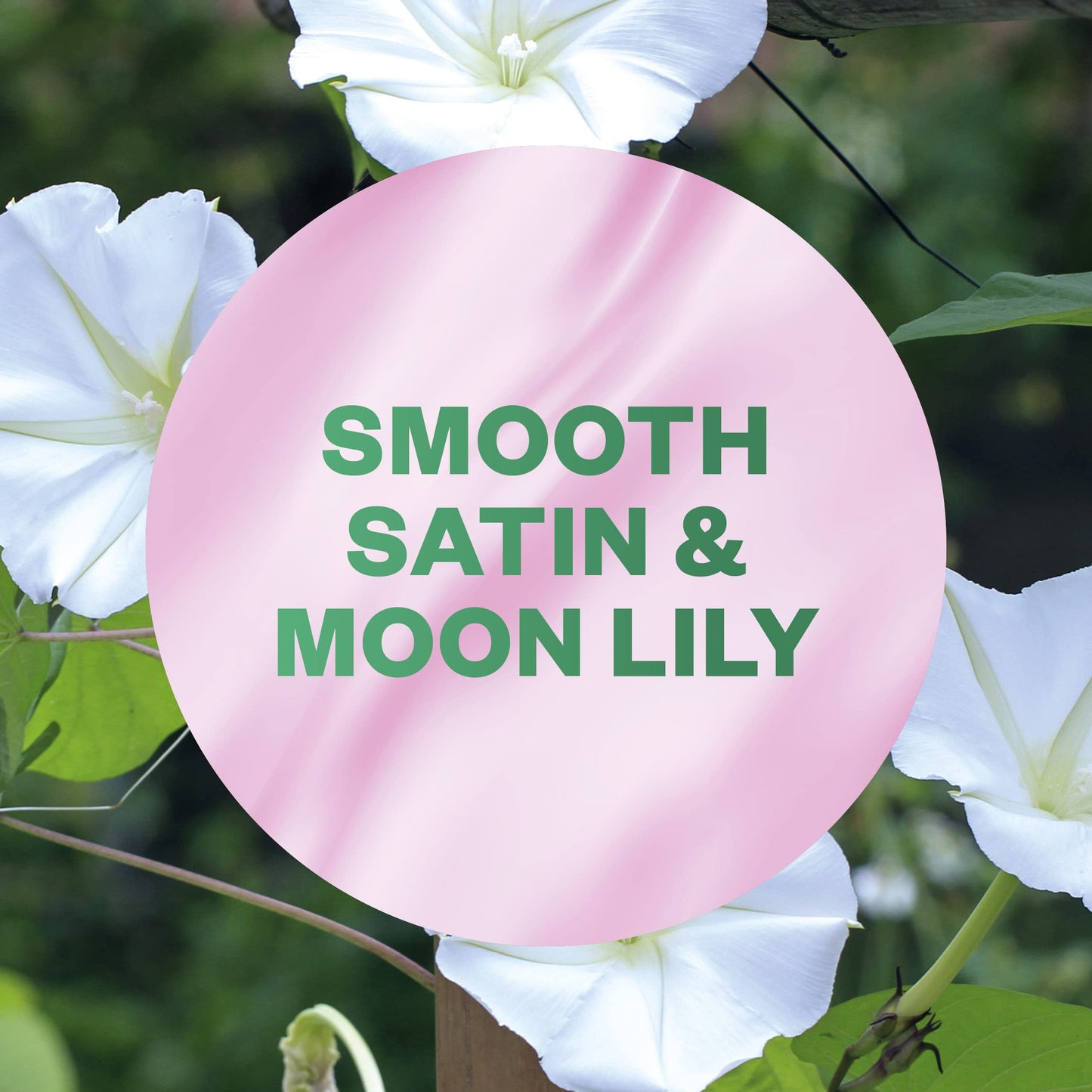 Air Wick |Smooth Satin & Moon Lily |Automatic Air Freshener | Freshmatic Auto Spray Refill | 250ml| Pack of 4| Packaging may vary Smooth Satin & Moon Lily 1 Count (Pack of 4)