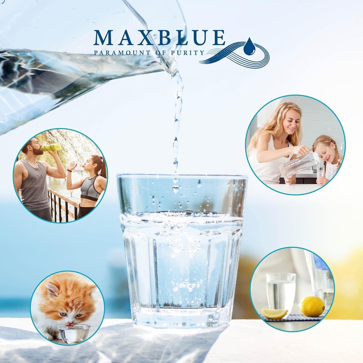 Maxblue TÜV SÜD, NSF Certified Filters, Replacement for Brita® Maxtra Plus and Maxtra Pro® All-in-1 Water Filter Cartridges, Compatible with Brita® Jug and Tank (12) 12 Count (Pack of 1)