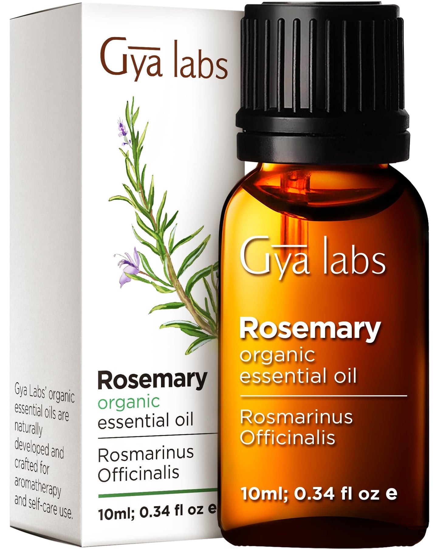 Gya Labs Organic Rosemary Oil for Hair & Scalp - Organic Rosemary Essential Oil for Skin & Diffuser - Steam Distilled Rosemary Oil for Hair Organic - (10ml) 10 ml (Pack of 1)