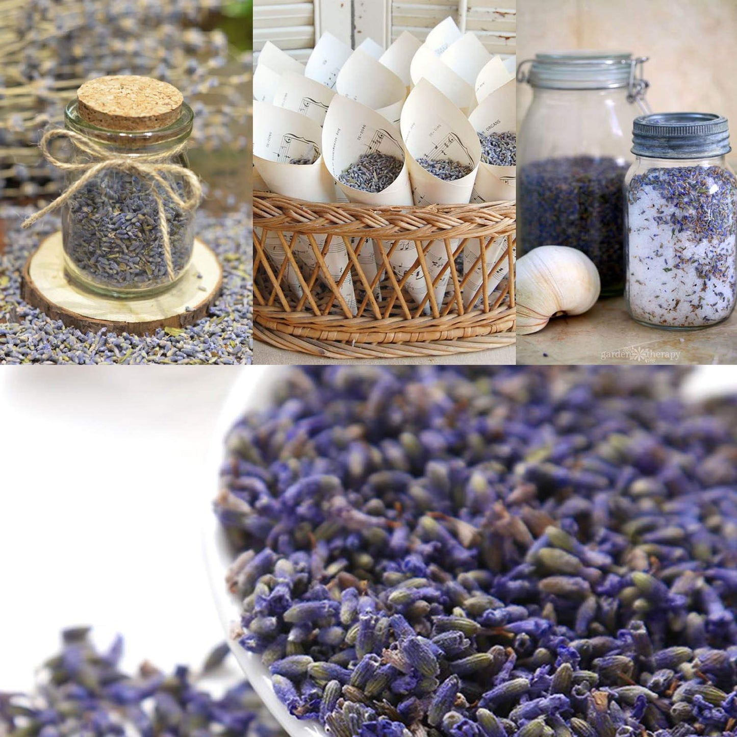 CoolCrafts Dried Lavender Flowers, Dry Lavender Buds Bulk Wholesale Fragrant Lavender for Wedding Toss, Crafts, Sachets - 2 Pound