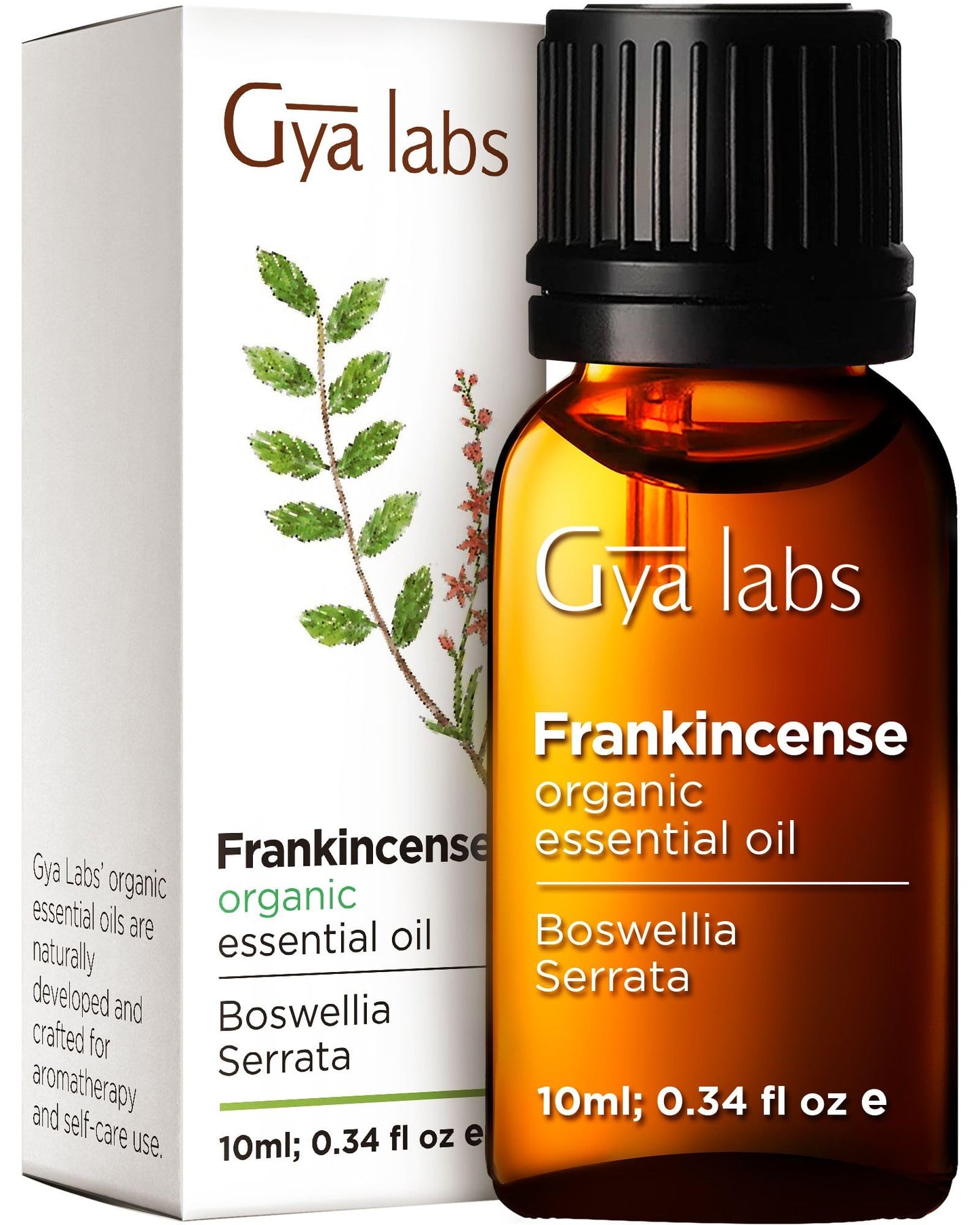 Gya Labs Organic Frankincense Essential Oil for Body Comfort - 100% Natural Organic Frankincense Oil for Skin - Frankincense Essential Oil Organic for Face & Diffuser (10 ml) 10 ml (Pack of 1)