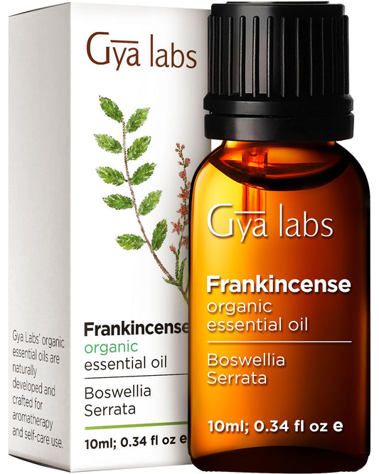 Gya Labs Organic Frankincense Essential Oil for Body Comfort - 100% Natural Organic Frankincense Oil for Skin - Frankincense Essential Oil Organic for Face & Diffuser (10 ml) 10 ml (Pack of 1)